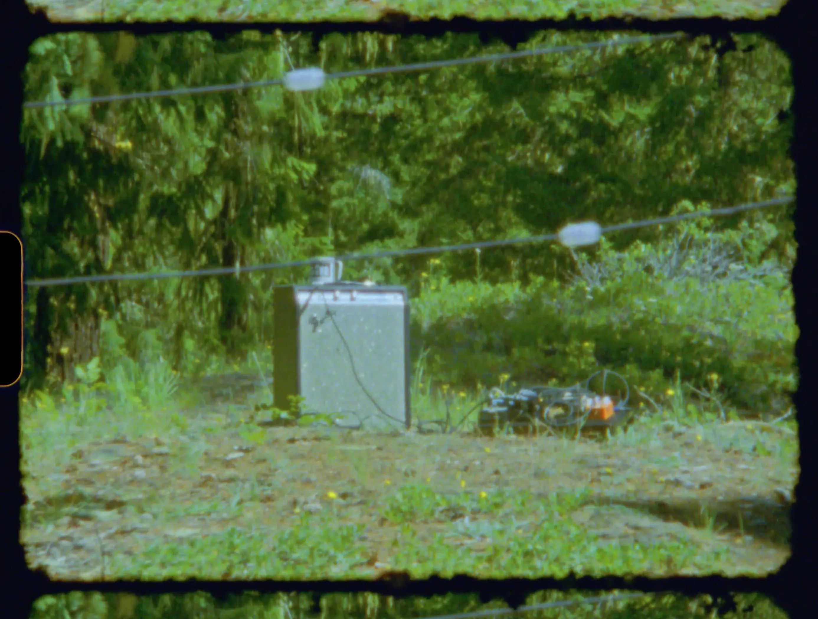 A guitar amplifier and pedalboard sit alone on open ground at the edge of the forest, cables running through the grass