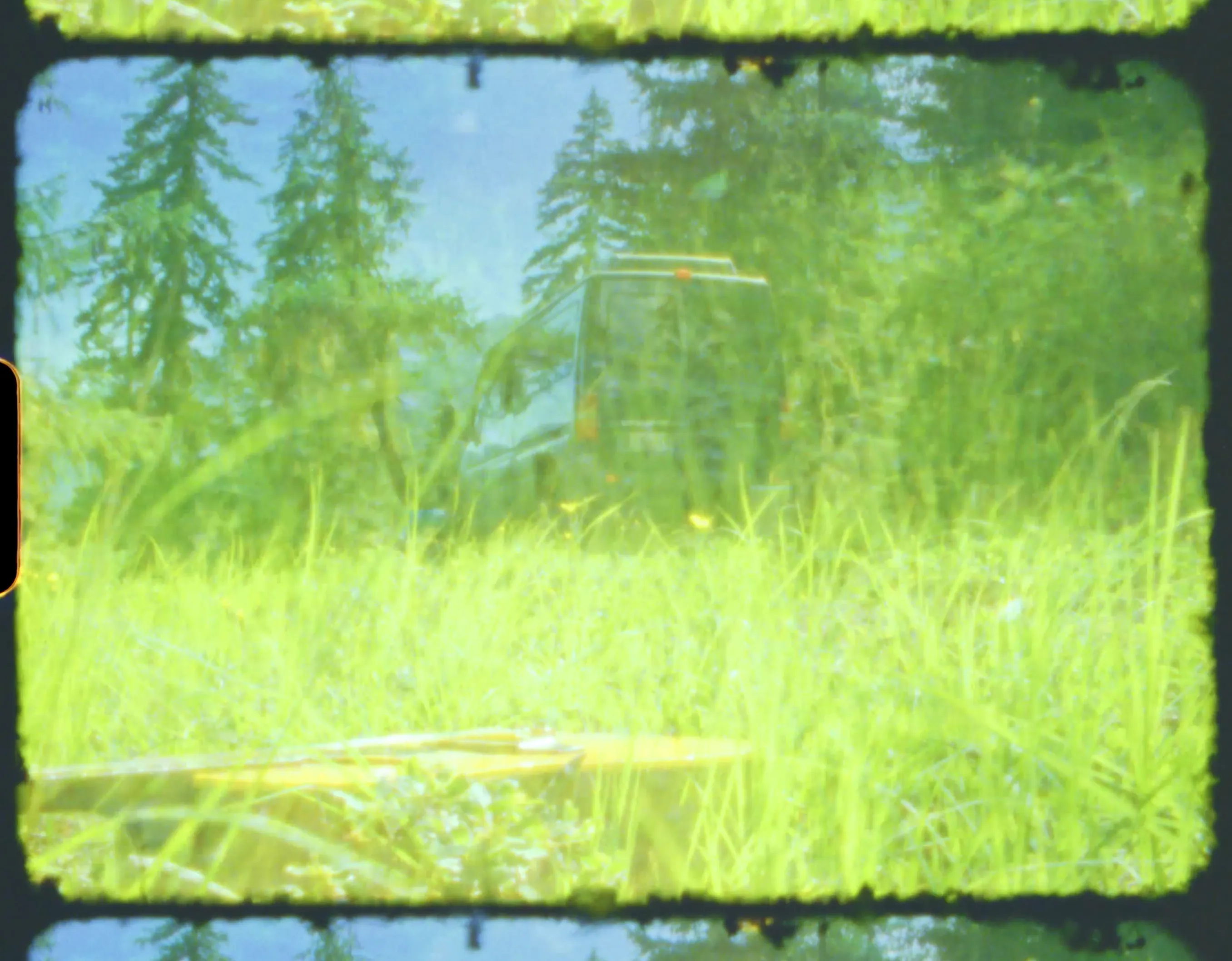 A van parked in a grassy meadow at the edge of an evergreen forest